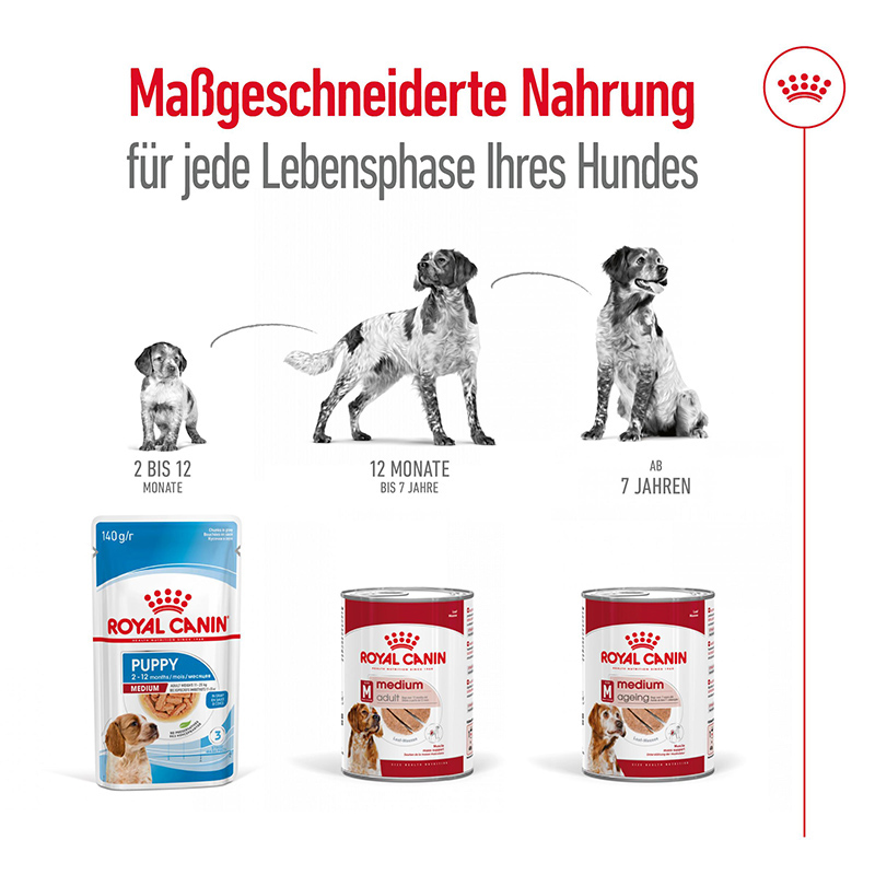 Royal Canin - SHN MediumAgeingLoafCan - 4