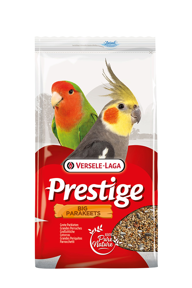Prestige Gross-Sittiche Prestige Gross-Sittiche