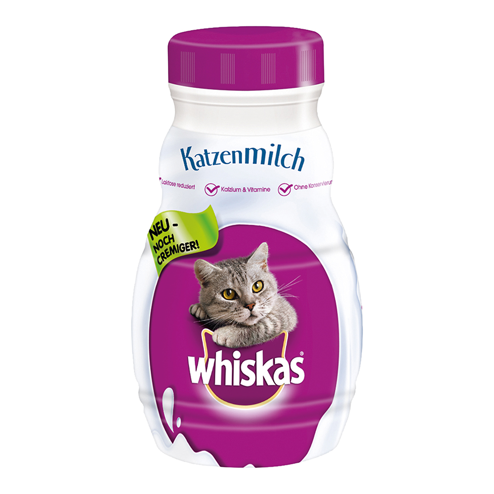 Katzen Milch