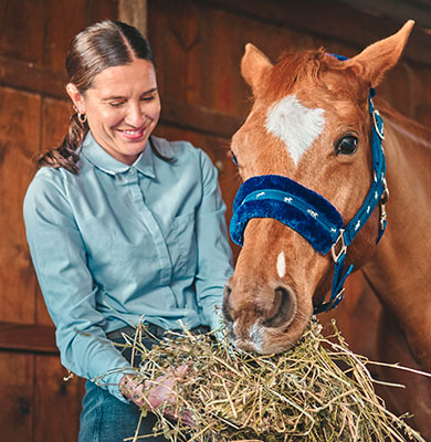 Gesundes Pferdefutter Fütterungs-Guide