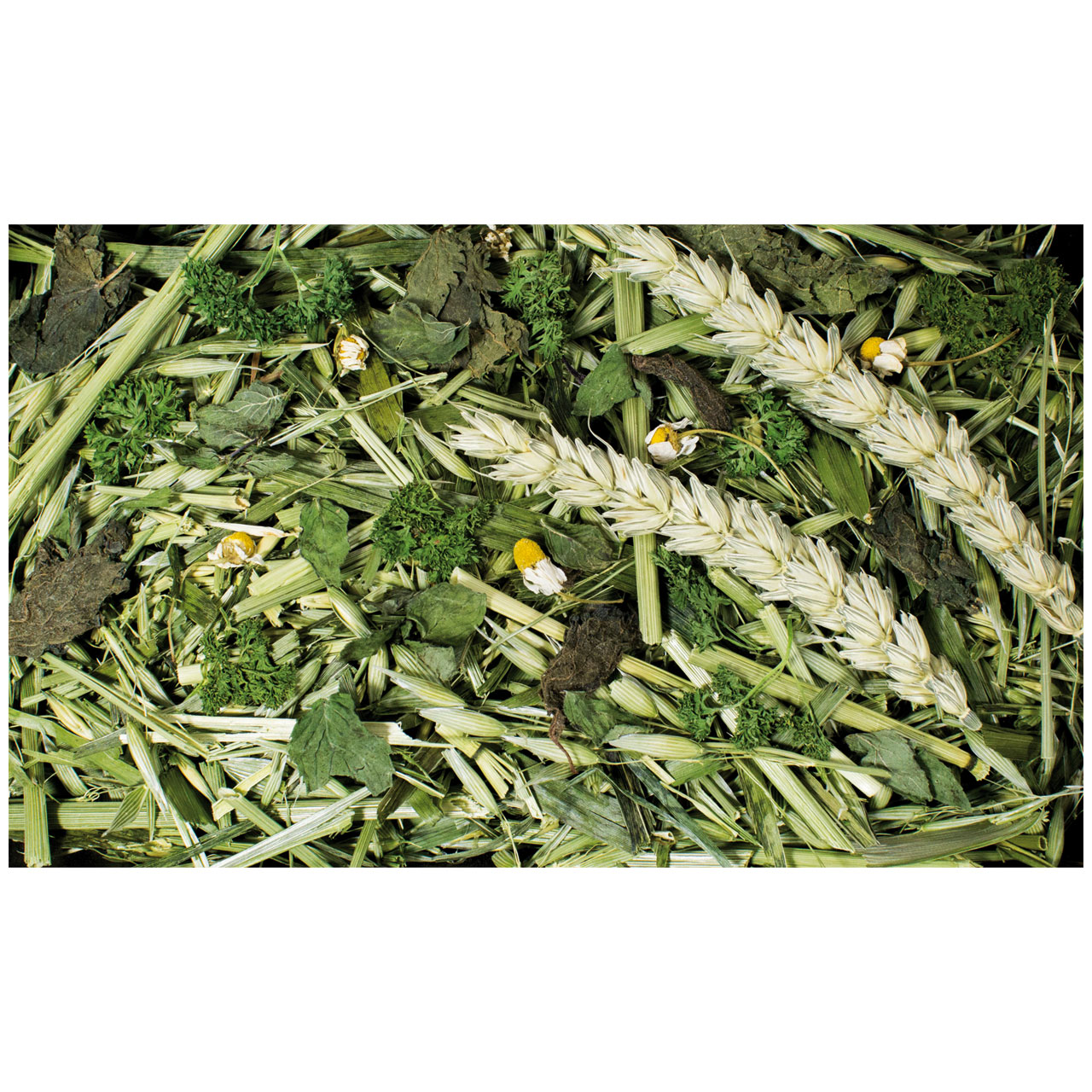 JR Farm - Kräutergarten - 1 x 100g - 2