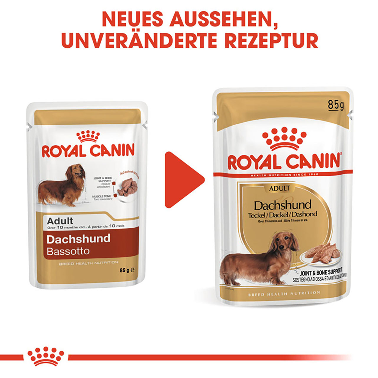 Royal Canin - BHN Dachshund AdultLoaf - 5