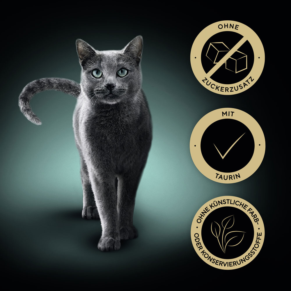 Sheba - Creamy Snack mit Rind - 1 x 48 g - 5