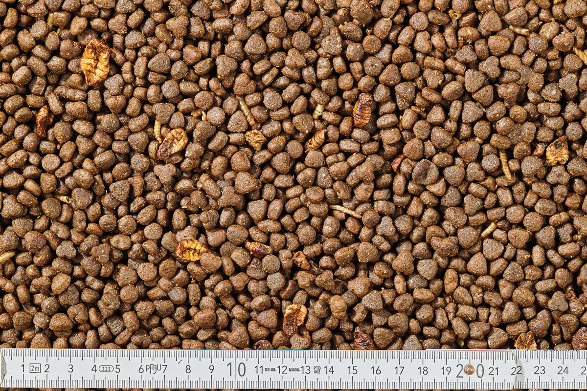 elles - Premium Igel-Menü 750g - 1 x 750g - 2