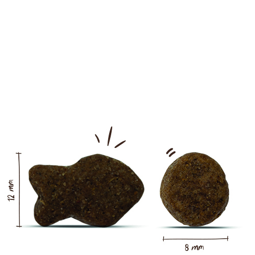 Bosch - Adult Fisch & Kartoffel - 1 x 15 kg - 6