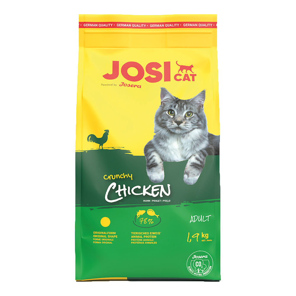Crunchy Chicken