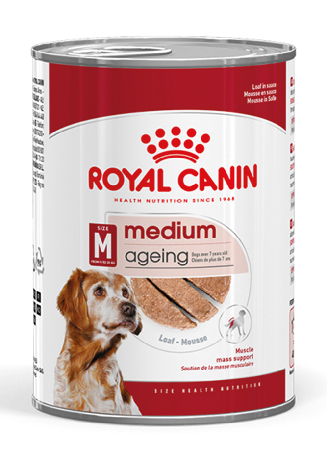 SHN MediumAgeingLoafCan