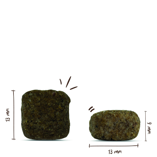 Bosch - Active - 1 x 15 kg - 8