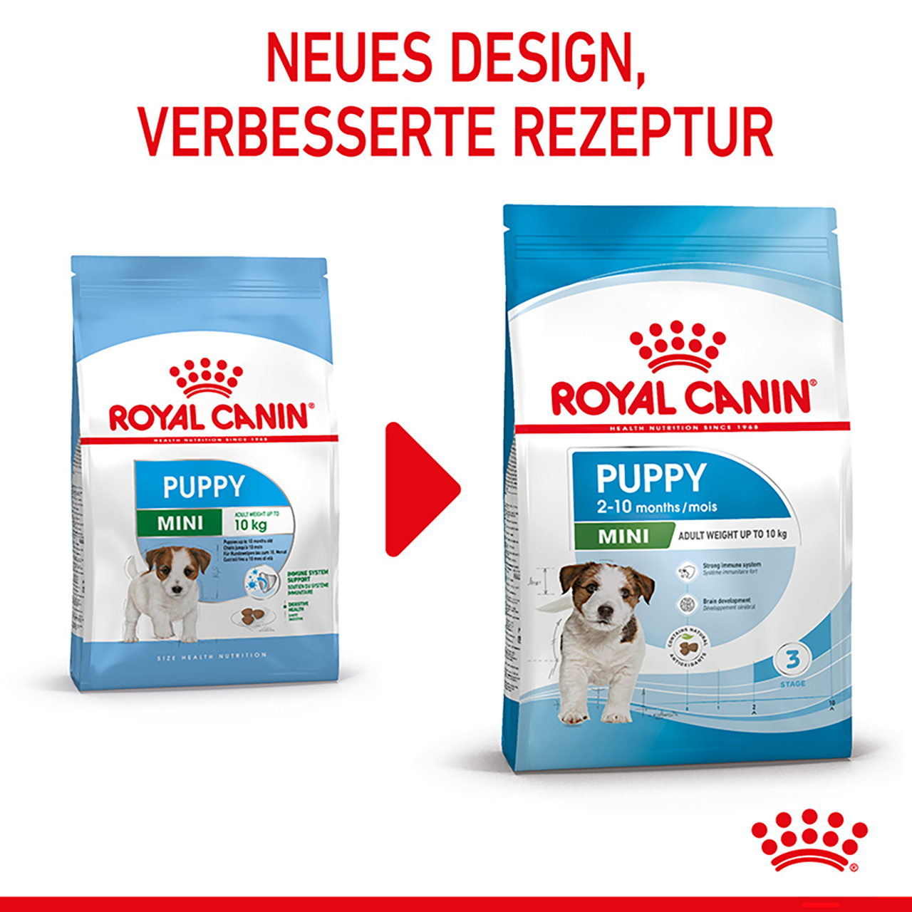 Royal Canin - SHN Mini Puppy - 3