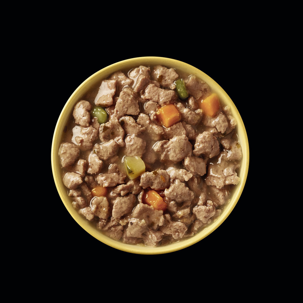 Cesar - Goodness MP Casserole mit Huhn, Fisch, Rind, getreidefrei - 1 x 24X100g - 4