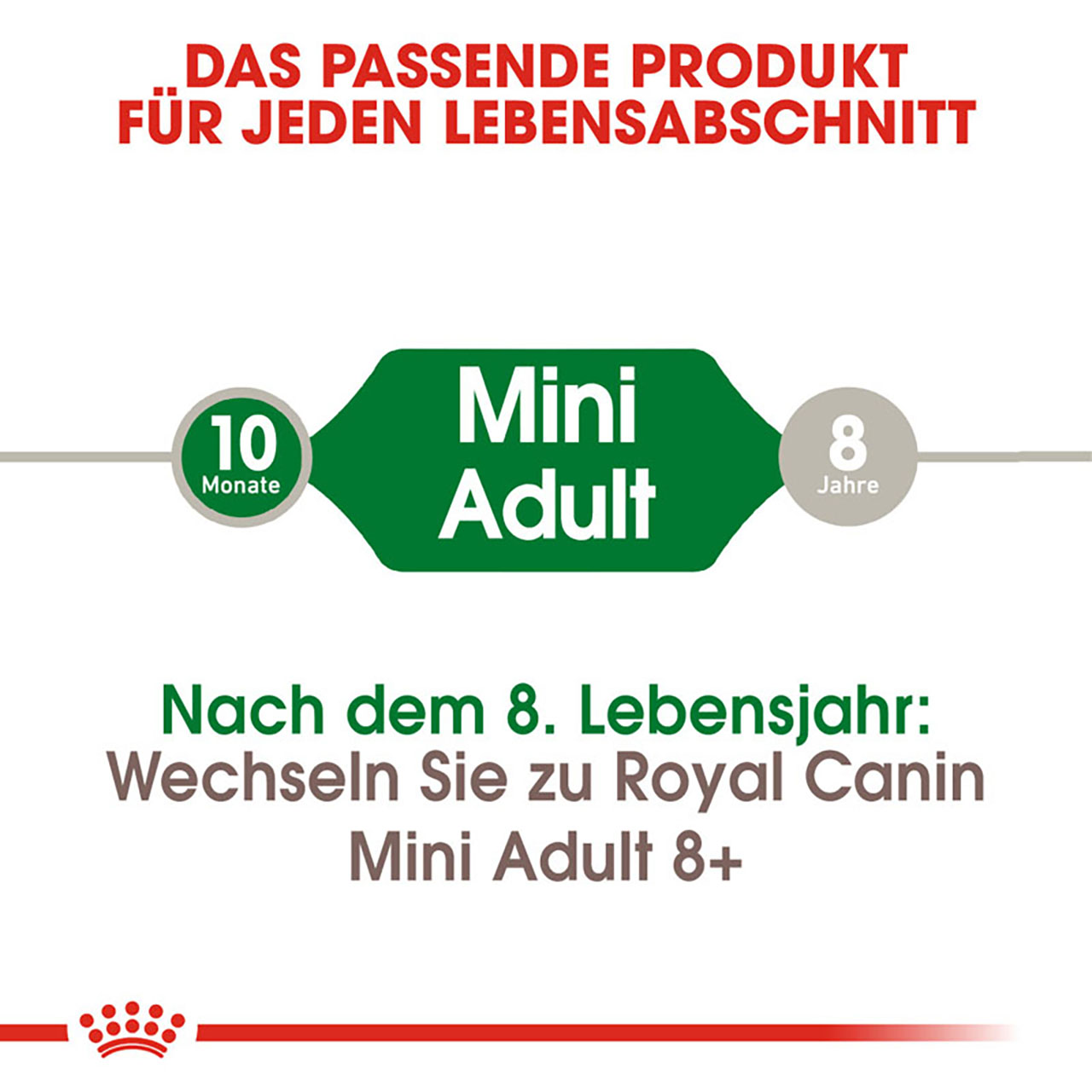 Royal Canin - SHN Mini Adult - 1 x 8kg - 2