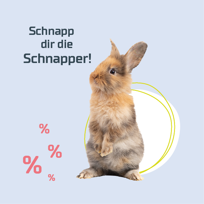 Schnäppchen für Kaninchen