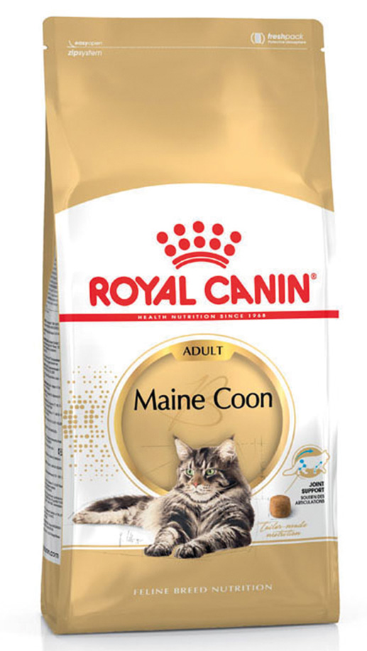 FBN Maine Coon Adult