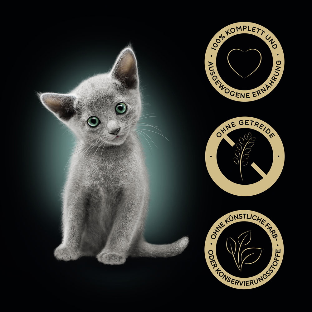 Sheba - Kitten mit Huhn in Sauce - 3