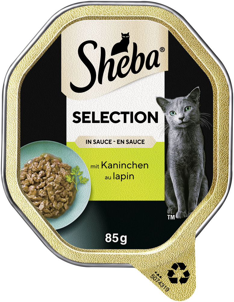 Selection Kaninchen in Sauce
