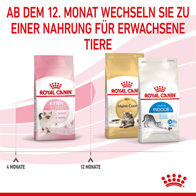 Royal Canin - FHN Kitten - 1 x 0,4kg - 7
