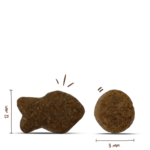 Bosch - Adult Fisch & Kartoffel - 1 x 15 kg - 5