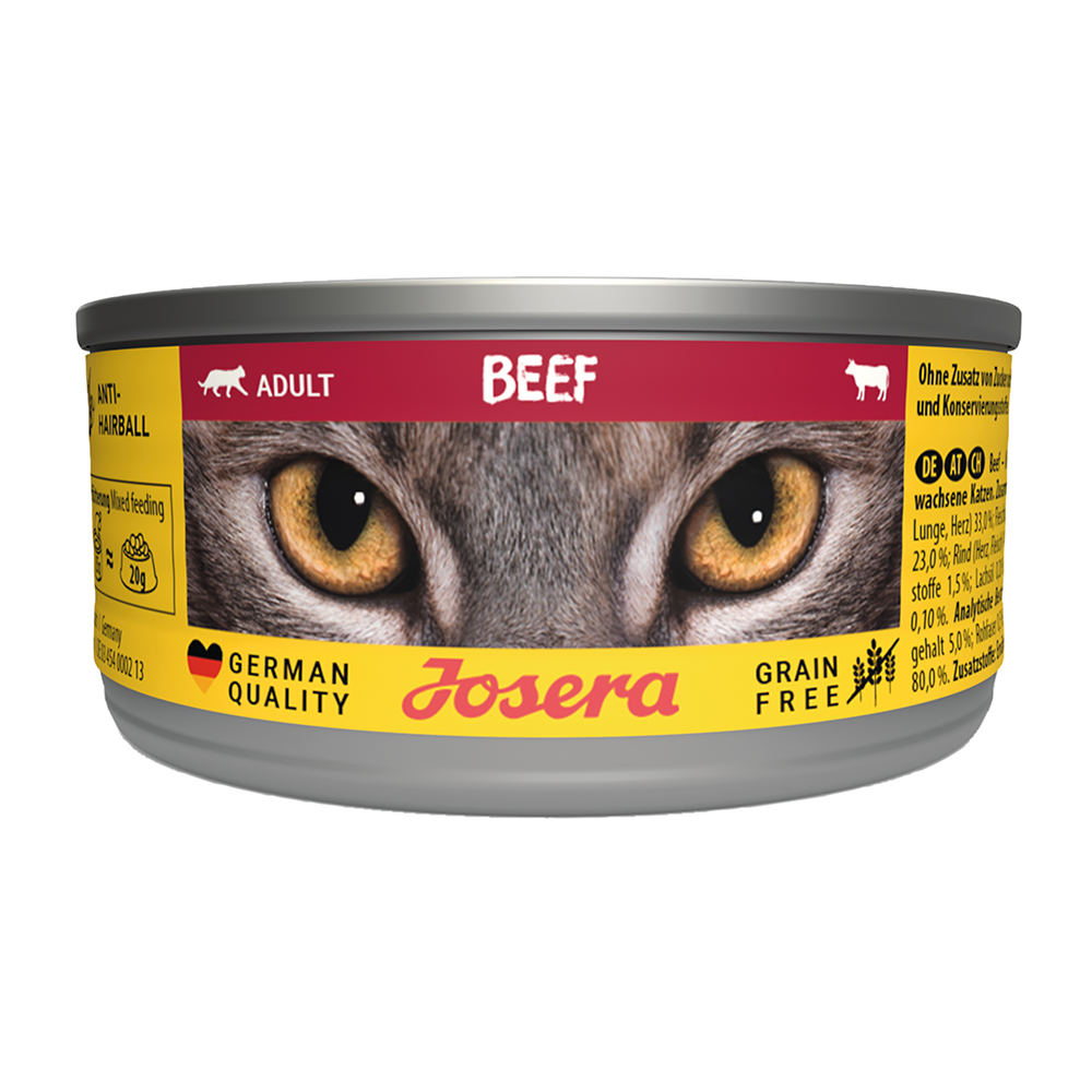 Cat Beef