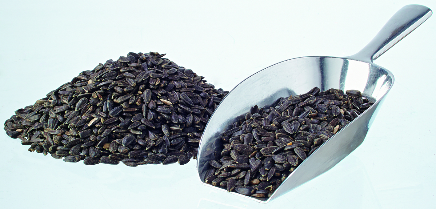 Sonnenblumenkerne schwarz 25kg