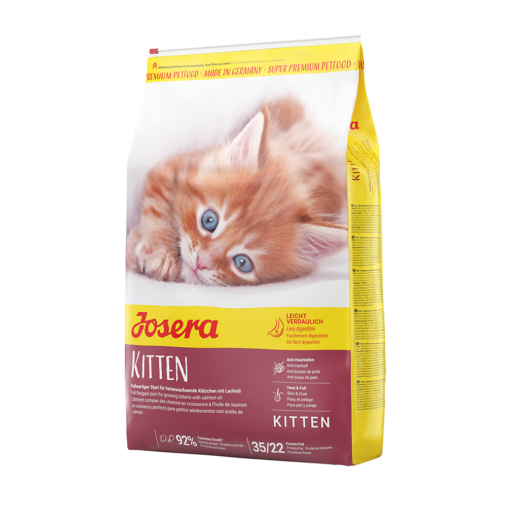 Kitten
