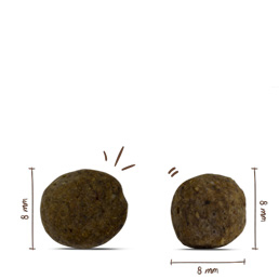 Bosch - Mini Senior - 5 x 1 kg - 6