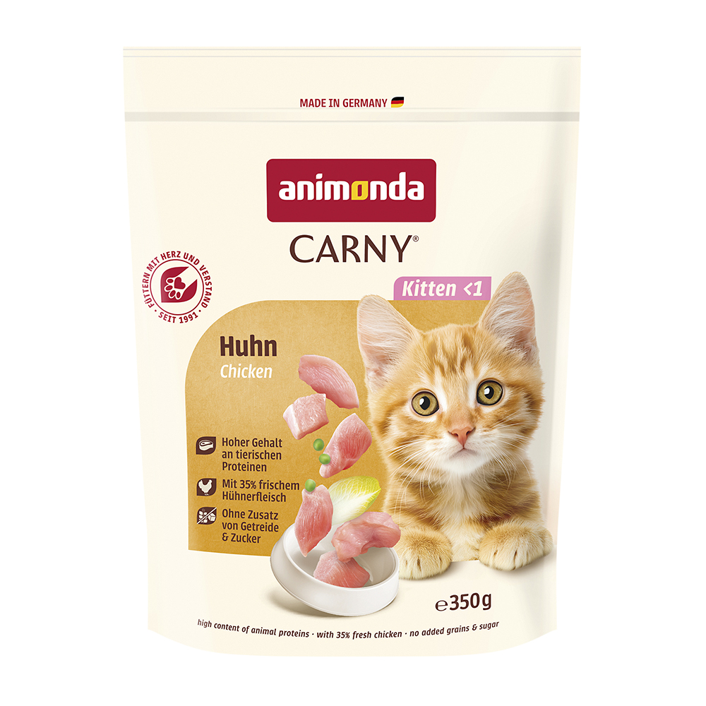 Kitten Huhn