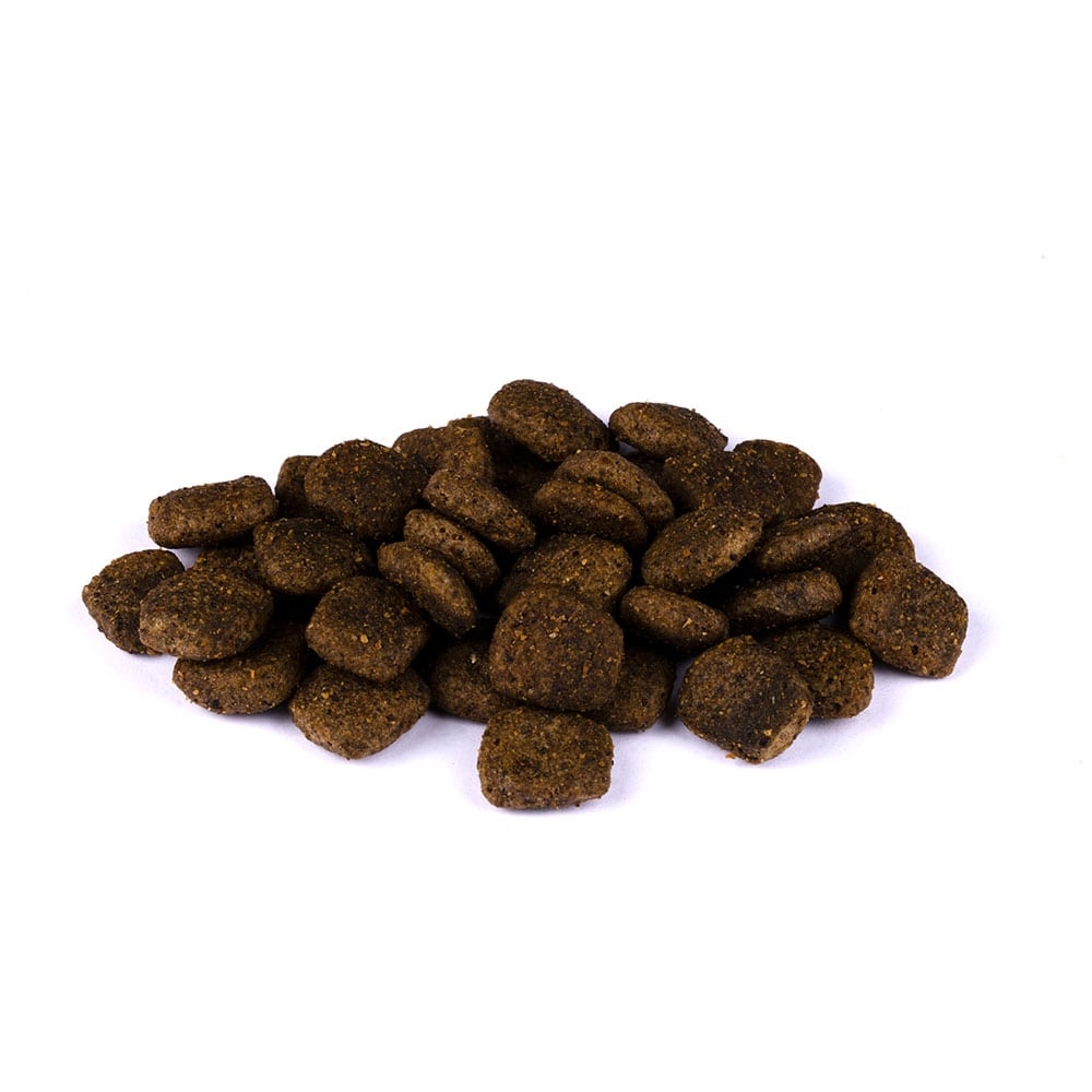 Allco Christopherus - Senior Ente&Kartoffel - 1 x 1,5kg - 2