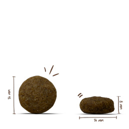 Bosch - Spezial Light - 1 x 2.5 kg - 3