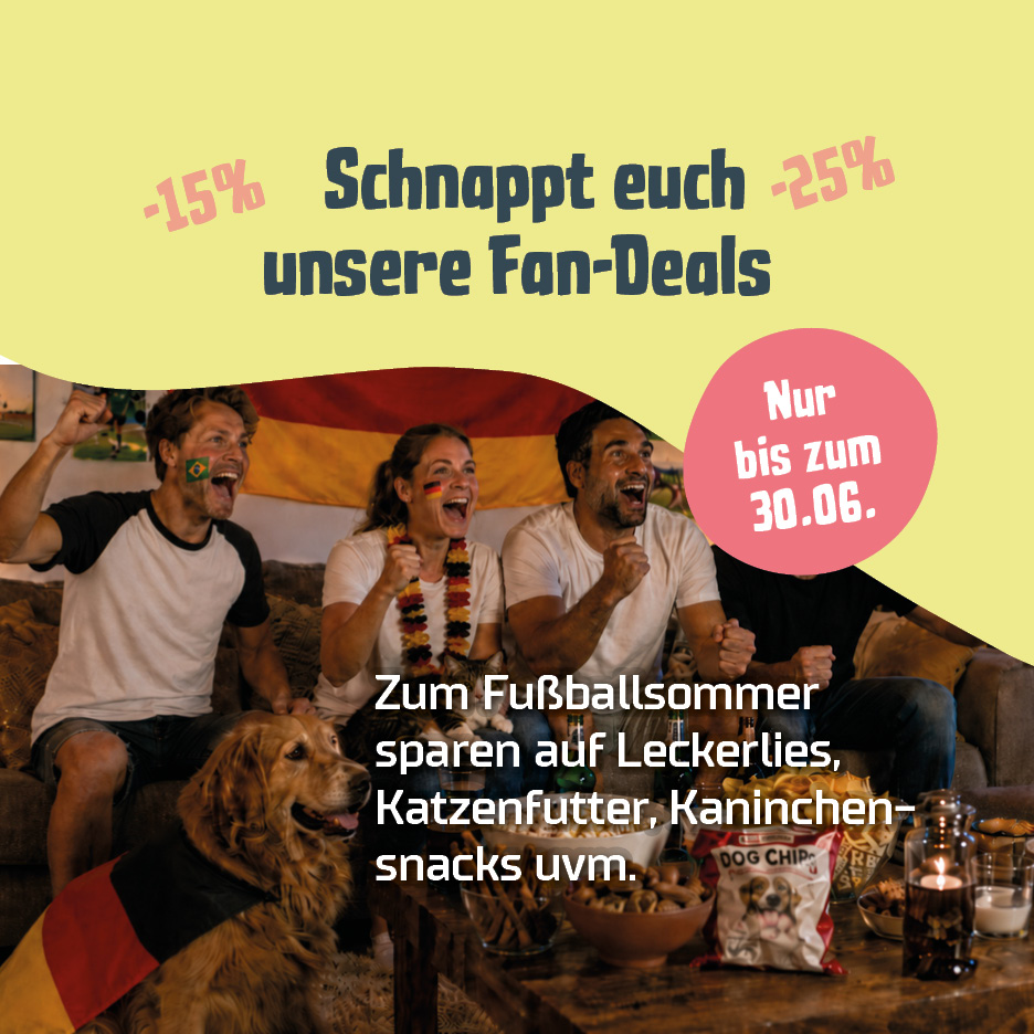 Monatsangebot Hund, Katze