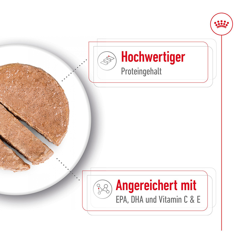 Royal Canin - SHN MediumAgeingLoafCan - 3