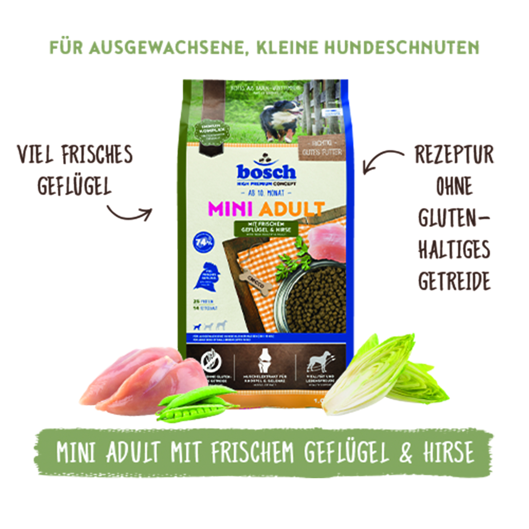 Bosch - Mini Adult Geflügel & Hirse - 1 x 1 kg - 1