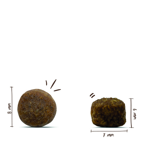 Bosch - Mini Adult Lamm & Reis - 4 x 3 kg - 6