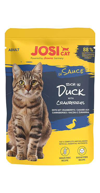 JC rich in Duck in S.