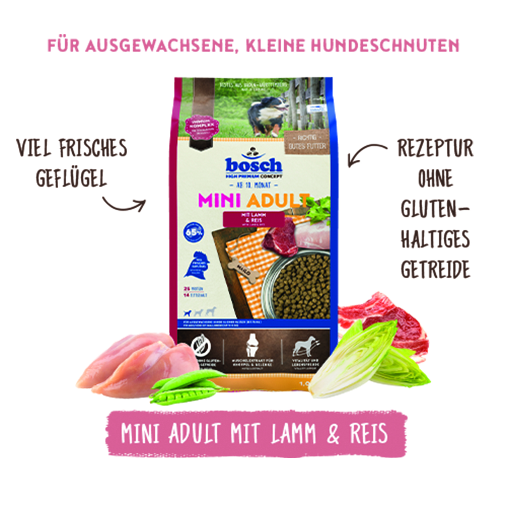 Bosch - Mini Adult Lamm&Reis - 5 x 1 kg - 1