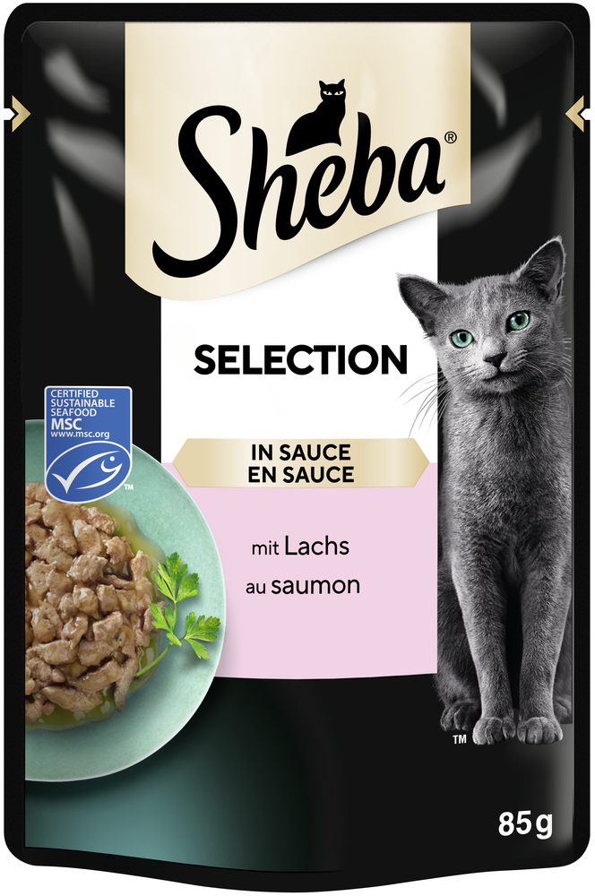 Selection in Sauce mit Lachs
