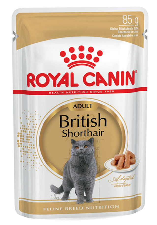 FBN British Shorthair Adult Gravy