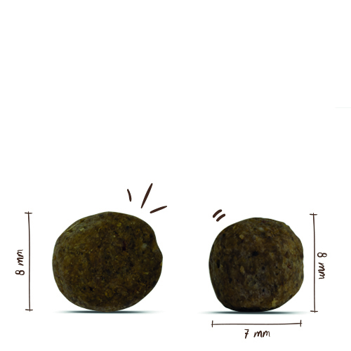 Bosch - Mini Adult Geflügel 6 Hirse - 4 x 3 kg - 6