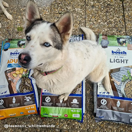 Bosch - Light - 1 x 12500 g - 8