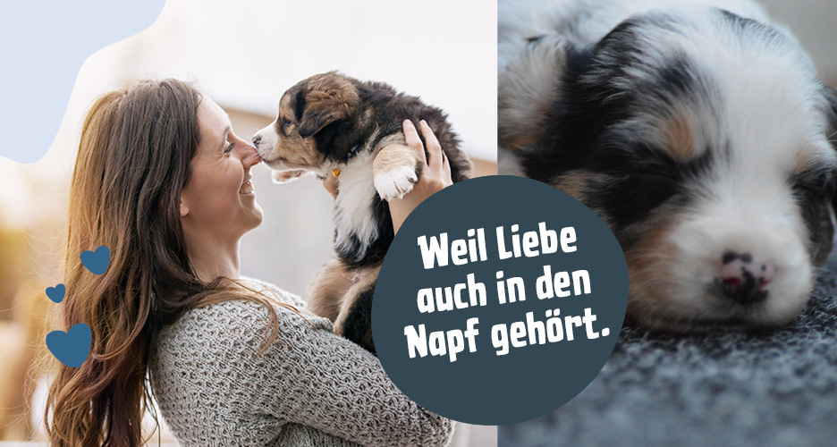 Welpenfutter & Junior