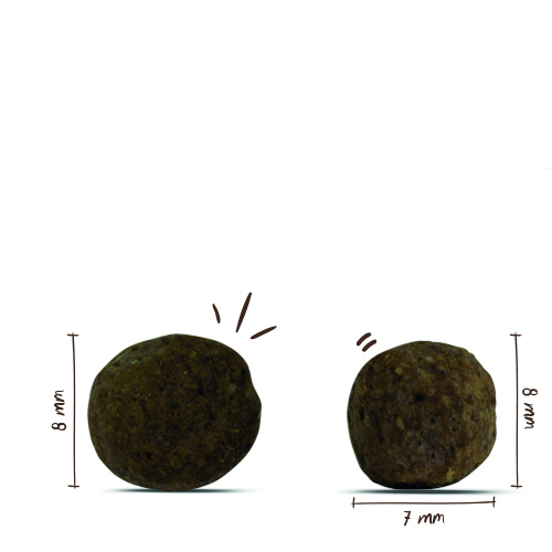 Bosch - Mini Junior - 5 x 1 kg - 7