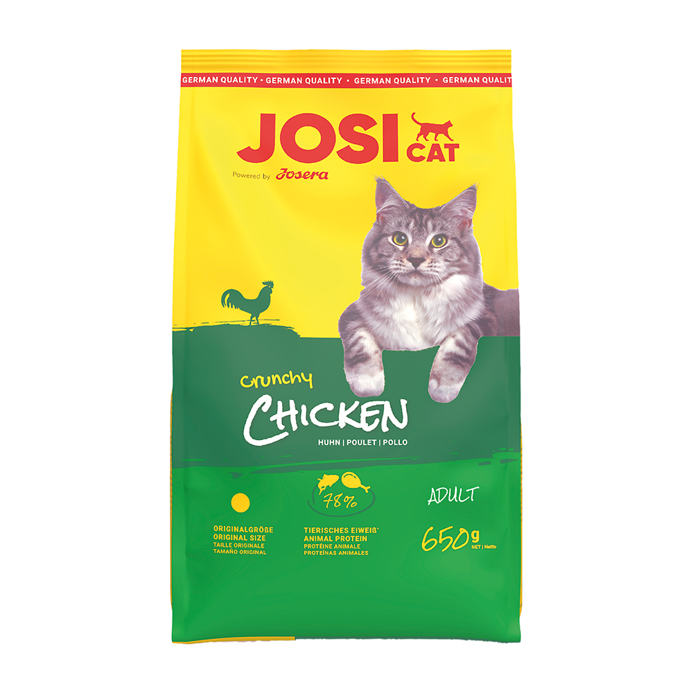 Crunchy Chicken
