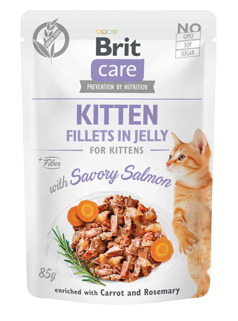 Fillets in Jelly mit Lachs für Kitten