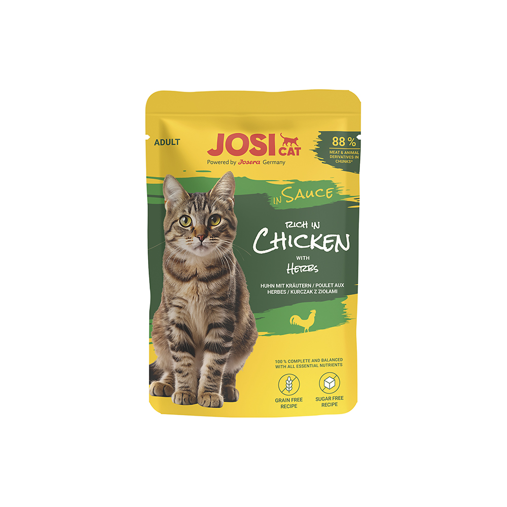 rich in Chicken in Sauce