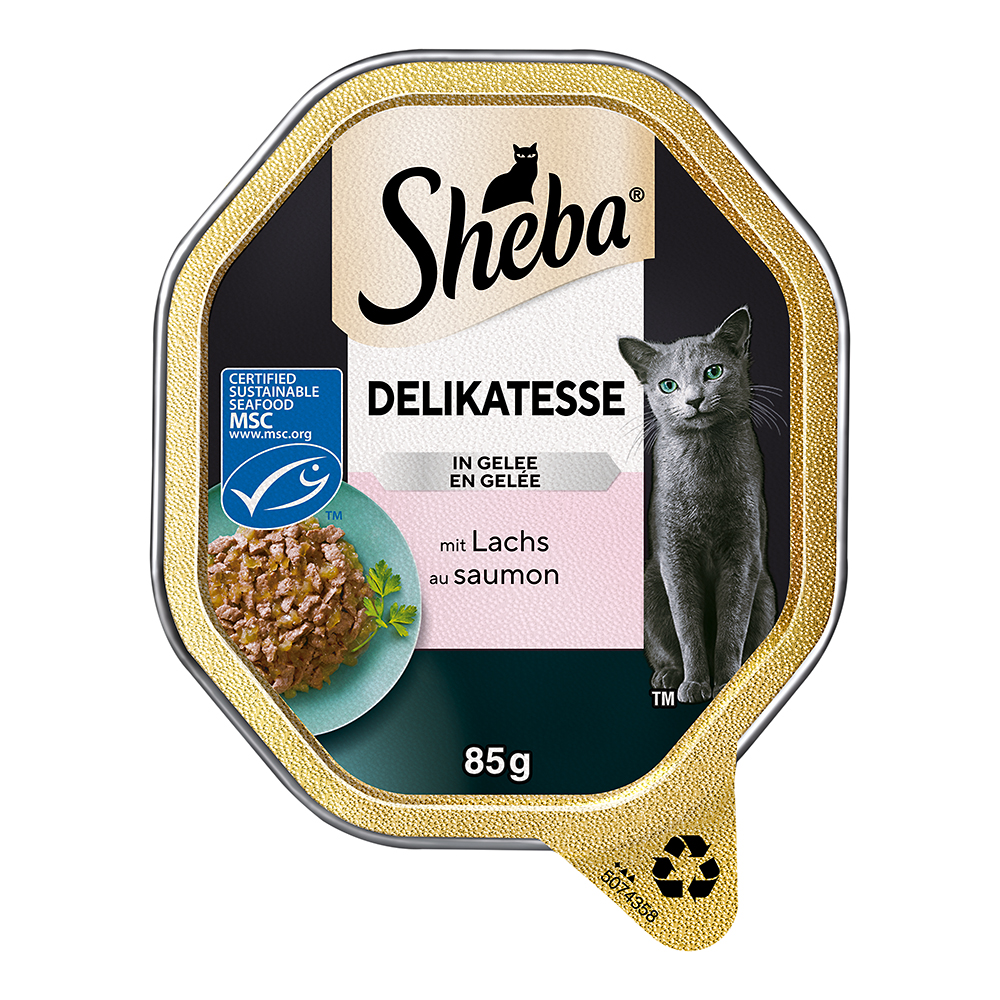 Delikatesse Gelee Lachs-Geschnetzeltes