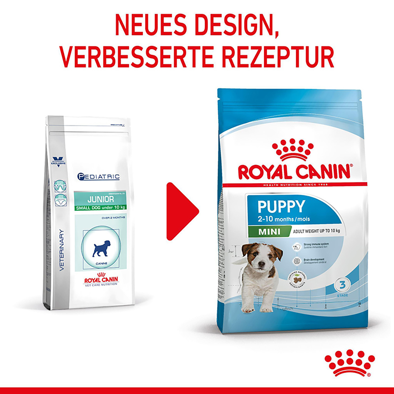 Royal Canin - SHN Mini Puppy - 4