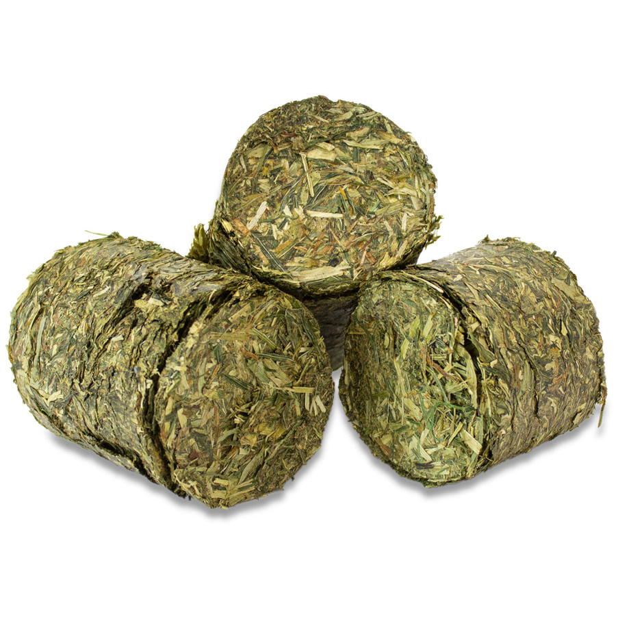 JR Farm - Grainless Health Vital-Blocks Atemwege - 1 x 300 g - 2