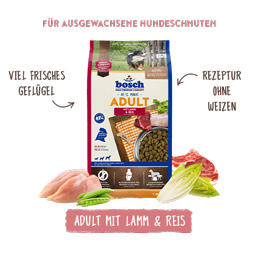Bosch - Adult Lachs & Kartoffel - 5 x 1 kg - 5