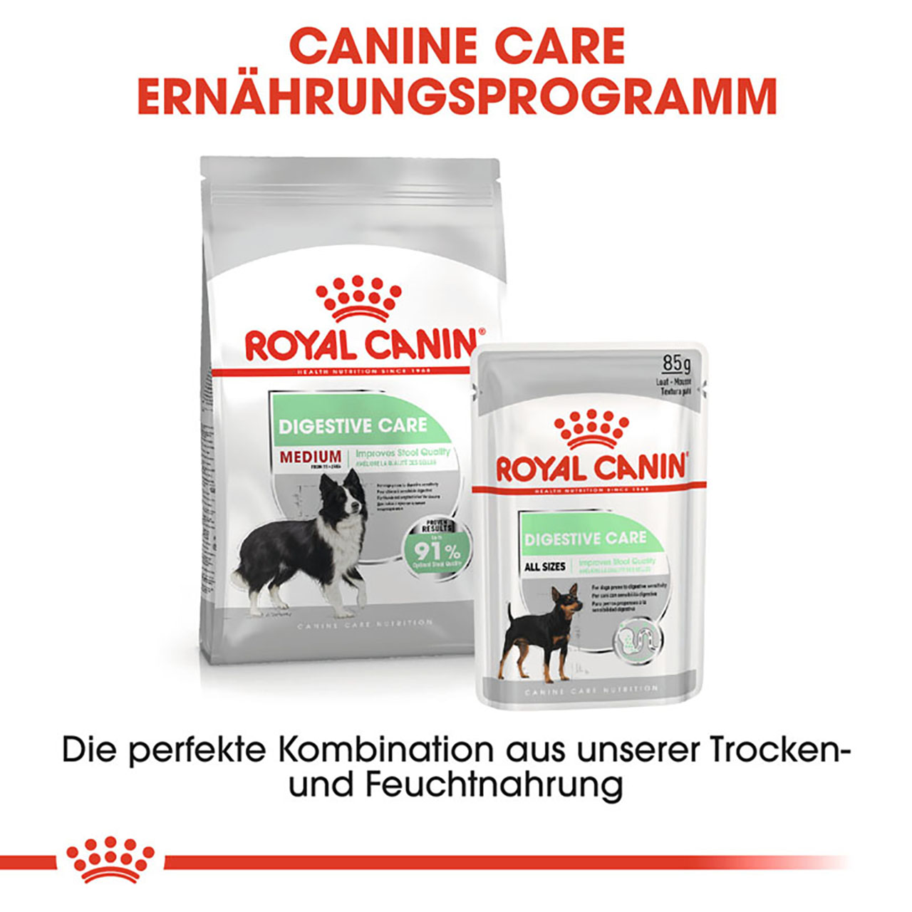 Royal Canin - CCN Digestive Care Medium - 1 x 3kg - 5