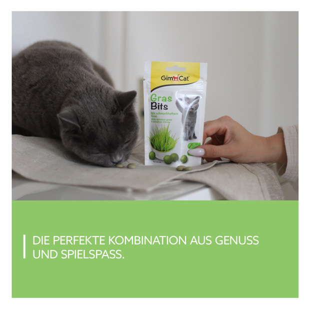 GimCat - GrasBits - 4