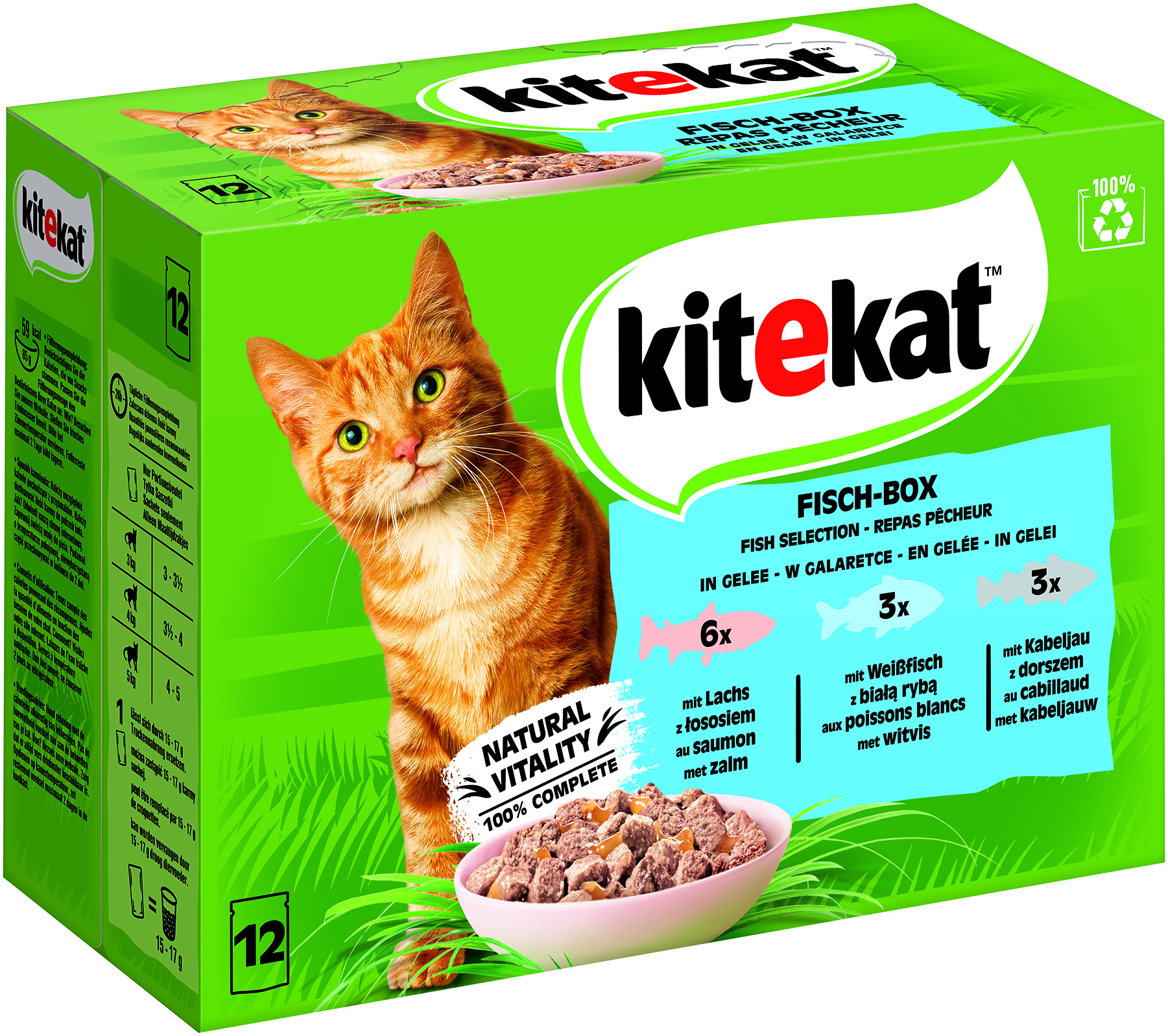 MP Fischbox in Gelee